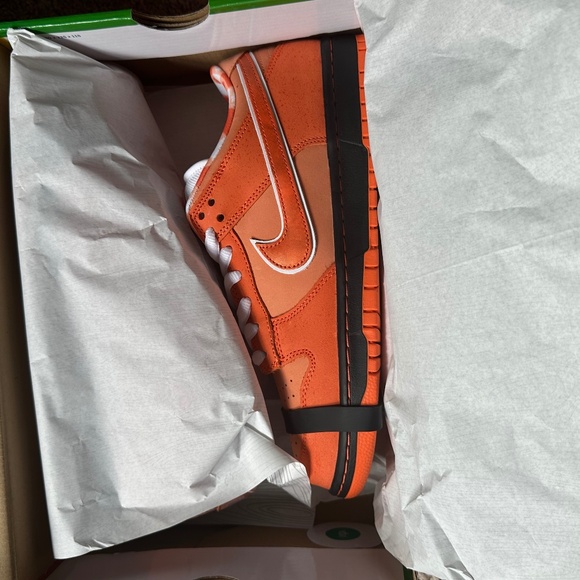 Concepts Orange Lobster (Special Box)